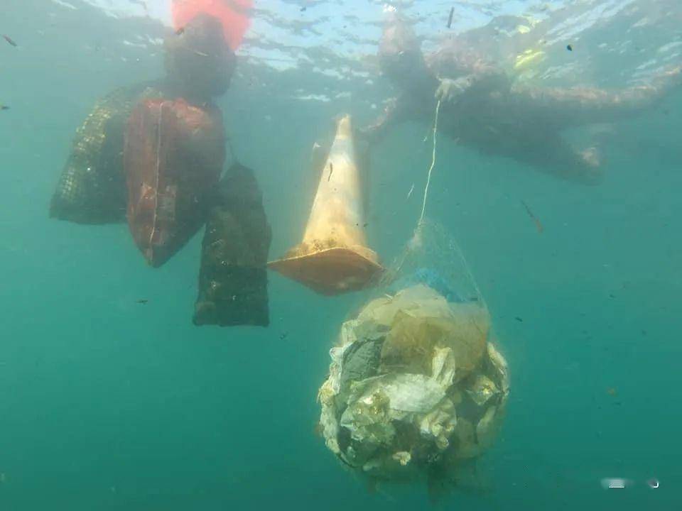 广东男子上厕所被浪掀海里漂流1小时