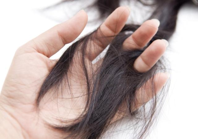 桂林秦女士遭长蠹虫“免费理发”,硬核口器下的逃生误